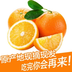【一件代发】5斤正宗赣南脐橙 橙子 新鲜水果批发