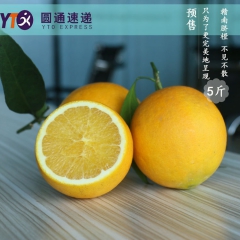 赣南脐橙 橙子 纯天然 新鲜水果 5斤 果园直供 超甜多汁