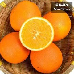 赣南脐橙 橙子 全南脐橙 永丰脐橙 不打蜡 无公害20斤装