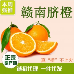【一件代发】赣南脐橙 橙子现摘现发鲜甜多汁橙精品10斤果园直...