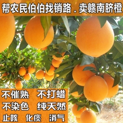 赣南脐橙新鲜水果橙子超甜多汁农家果园直供现摘5斤批发橙子脐橙