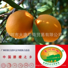 富川脐橙 鲜橙子新鲜水果纯天然 非诸橙赣南脐橙10斤包邮一件...