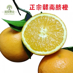 新鲜水果 正宗赣南脐橙 5斤包邮