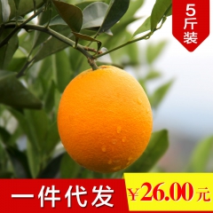 赣南脐橙 美味农家新鲜水果脐橙伦晚 孕妇橙甜橙子5斤装一件代...