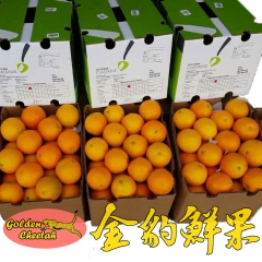 金豹鲜果 南非普通脐橙 南非产地直供 进口脐橙批发 新鲜甜橙...