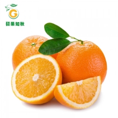 【预售】脐橙 金堂脐橙 特级 新鲜榨汁水果批发 代发 五斤 ...