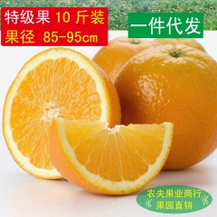 预售赣南脐橙 新鲜水果 橙子天然绿色美容食品双12十斤大果大...