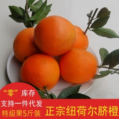 一件代发 秭归脐橙 正宗纽荷尔脐橙特级果5斤装新鲜水果代理批...