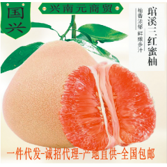 福建漳州蜜柚新鲜水果平和琯溪三红柚子