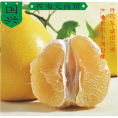 福建漳州蜜柚新鲜水果平和琯溪白肉柚子