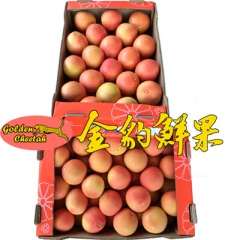 南非进口西柚 进口葡萄柚批发 广州一级批发 水果店榨汁店货源