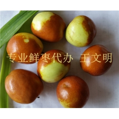 脆甜山东鲜大枣基地批发价格