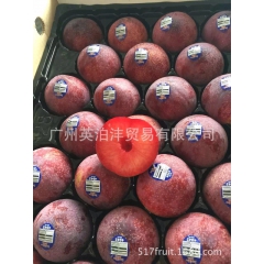 【英泊沣】进口水果美国恐龙蛋李子/天鹅蛋李子 批发团购 代发