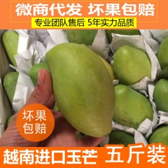 正宗越南玉芒青芒果 新鲜热带水果现货5斤小芒果广西进口一件代...