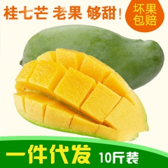 广西田东芒果 桂七大青芒 热带新鲜水果 微商货源代发10斤装