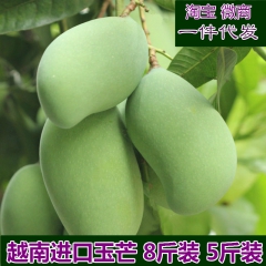 新鲜玉芒 时令新鲜水果 金煌芒同类青芒果 8斤包邮 一件代发