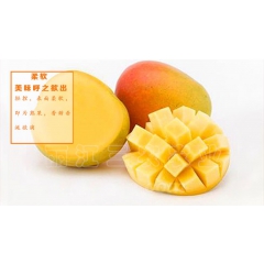 热龙芒果澳芒 新鲜水果 基地直销新鲜芒果 优质热带水果包邮