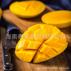 新鲜芒果 批发 海南凯特芒 果园现摘现发青皮黄皮芒果 一件代...