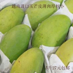 一件代发 芒果 越南玉芒 玉芒新鲜水果批发百色芒果