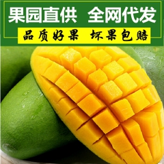 越南玉芒香小青芒果 新鲜热带水果现货八斤小芒果一件代发包邮