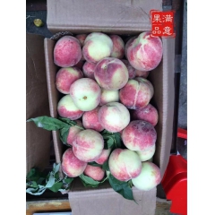 代销桃子-代销水蜜桃-代销油桃