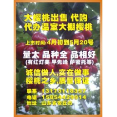 山东潍坊市大樱桃