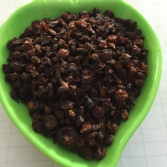 原药材沙棘 批发沙枣 纯正无硫 化痰止咳 健胃消食