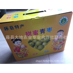 礼盒装大青枣 现摘现卖 新鲜包邮 牛奶脆蜜贵妃枣 脆甜可口