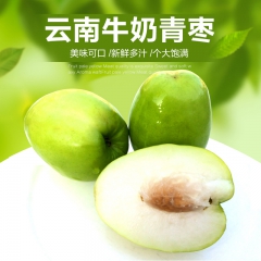 现货云南青枣特级大青枣 牛奶枣 冬枣蜜枣 台湾牛奶枣 5斤包...