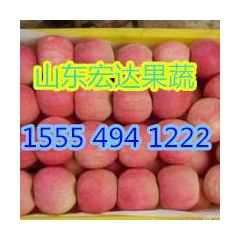山东美八苹果产地批发价格