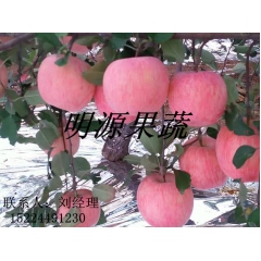 供应红富士苹果山东苹果