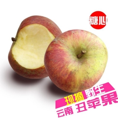 云南糖心野生丑苹果 新鲜水果脆甜多汁 ���摘现发10斤包邮...