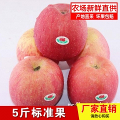 甘肃特产 新鲜红富士苹果 香脆可口80mm/箱10斤  产地...
