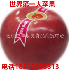 2016世界一苹果 圣诞节平安果新鲜苹果 750克 一件代发