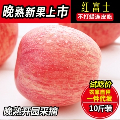 【自产自销】现摘现发红富士苹果 脆甜多汁 当季新鲜苹果批发包...