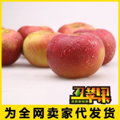 云南昭通丑苹果15个装 红富士苹果新鲜水果一件代发微商代理包...