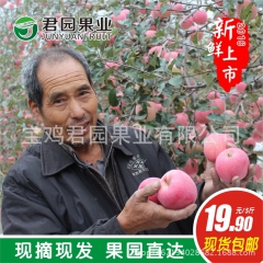 陕西苹果新鲜水果正宗洛川红富士非烟台栖霞农家现摘现发5斤包邮