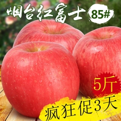 现摘苹果 烟台红富士85果5斤包邮 山东新鲜水果烟台苹果批发