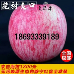A 大量批发静宁红富士苹果 甘特产新鲜水果 金色园一件代发包...