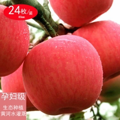 天水苹果 新鲜冰糖心红富士苹果 10斤装 脆甜可口 一件代发...
