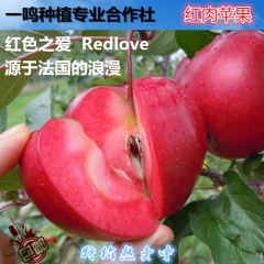苹果 红心苹果 红肉苹果  红色之爱 红爱苹果 包邮 全网独...