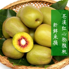 包邮四川苍溪红心猕猴桃 新鲜水果含丰富维C奇异果 厂家直销