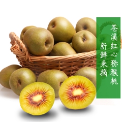 包邮产地甩卖苍溪红心猕猴桃 奇异果 果园直发新鲜水果 绿色健...