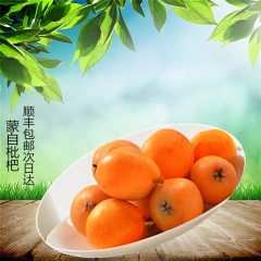蒙自枇杷现货长虹枇杷大五星枇杷３斤招代理一件代发　批发