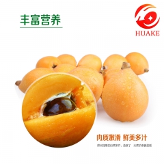 云南蒙自高甜度枇杷 现摘农家甜枇杷 新鲜水果甜枇杷4斤装直销
