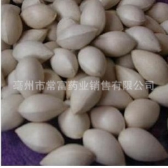 供应中药材白果 白果仁 白果仁粉 白果仁直销