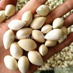 供应优质白果 银杏果 白果仁 无漂白自然色 干货 支持一件代...