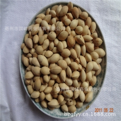 【品质保证】供应中药材/白果、白果粉/量大从优