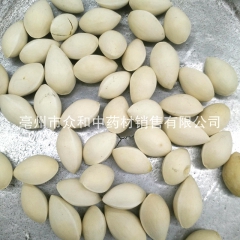 长期供应 天然优质白果 新鲜散装银杏果批发