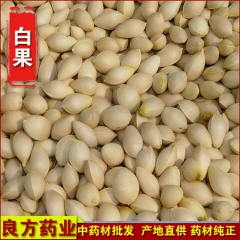 f5供应批发白果 品质保证 价格实惠